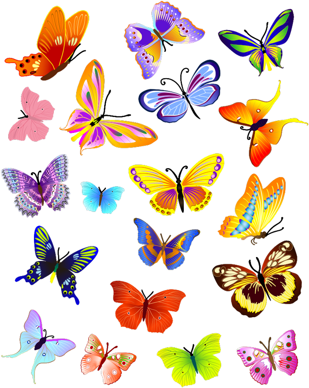Aflombra vinílica animales mariposas voladoras multicolor - TenVinilo