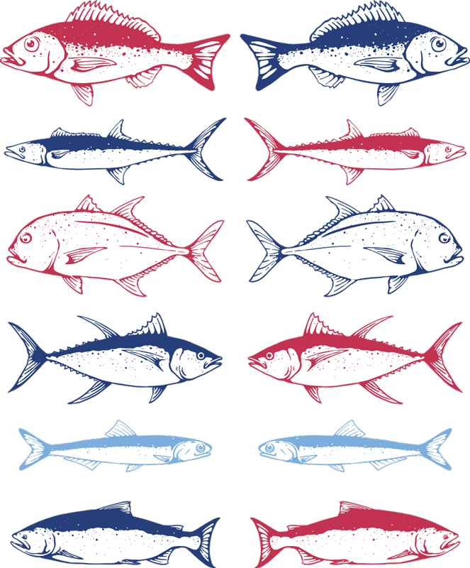 Aflombra vinílica animales lámina de peces dibujados - TenVinilo