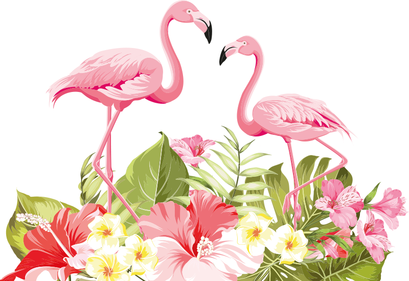 Aflombra vinílica animales flor tropical flamenco - TenVinilo