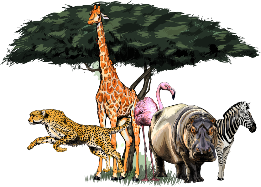 Aflombra vinílica animales safari familiar de jirafas - TenVinilo