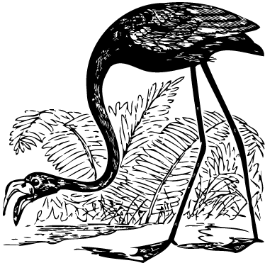 Aflombra vinílica animales flamenco con helechos - TenVinilo