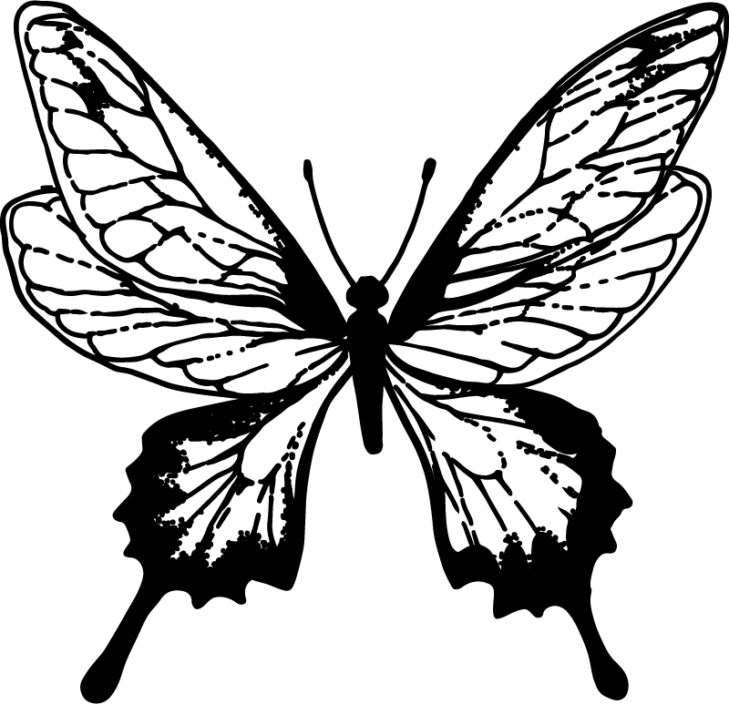 Aflombra vinílica animales contorno de mariposa elegante - TenVinilo