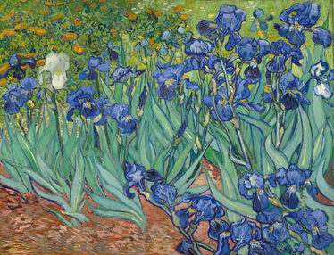 Alfombra vinílica flores de van gogh - TenVinilo