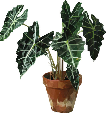 Alfombra vinílica flores maceta geométrica - TenVinilo