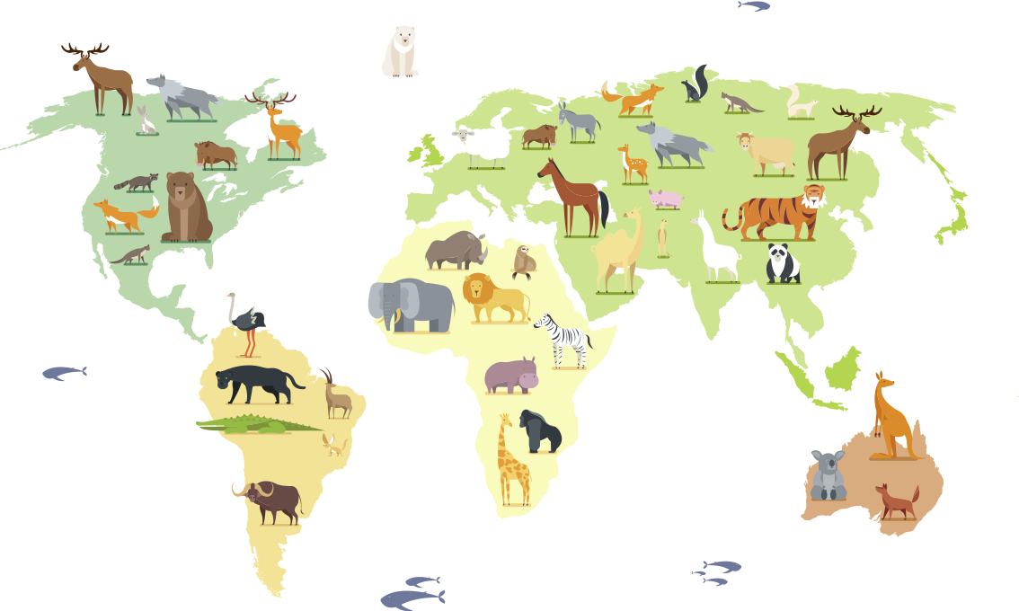 Alfombra vinílica dormitorio animales coloridos del mundo - TenVinilo