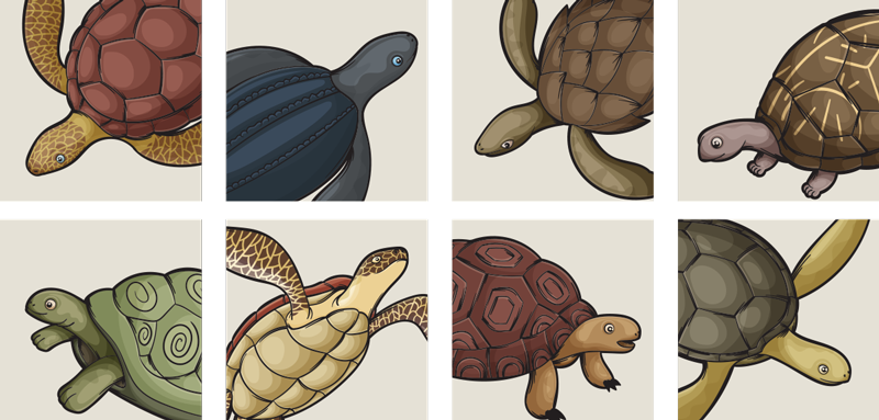 Alfombra vinílica baño baldosas de variedad de tortugas - TenVinilo