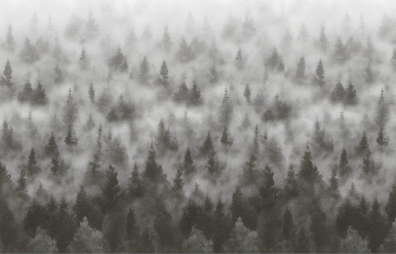 Alfombra vinílica dormitorio montaña mística en niebla - TenVinilo