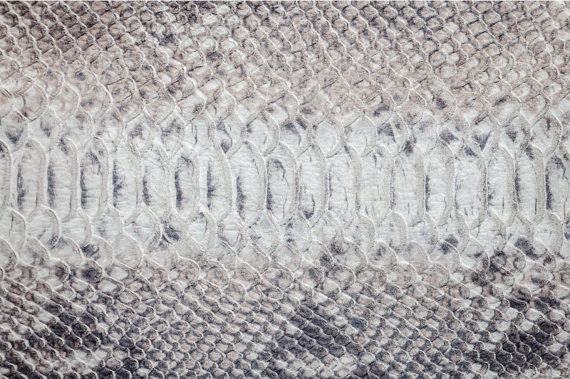 Alfombra vinílica gris con estampado de serpiente gris - TenVinilo