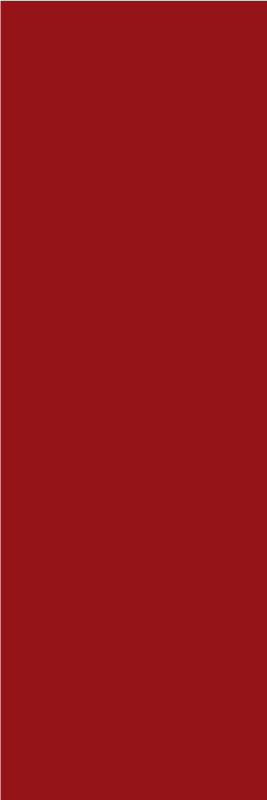Alfombra vinílica roja para decorar tu hogar red - TenVinilo