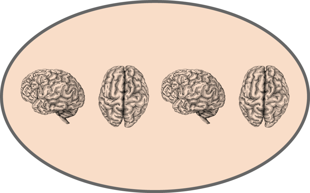 Alfombra vinílica vintage lados del cerebro - TenVinilo