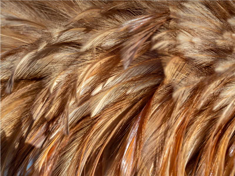 Alfombra vinílica animal print pelaje arremolinado - TenVinilo