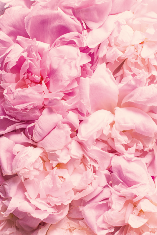 Alfombra vinílica flores rosadas realistas - TenVinilo