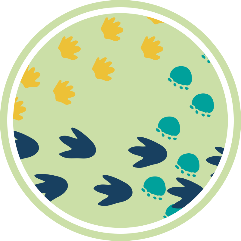 Alfombra vinílica infantil diseño de huellas de dinosaurio - TenVinilo