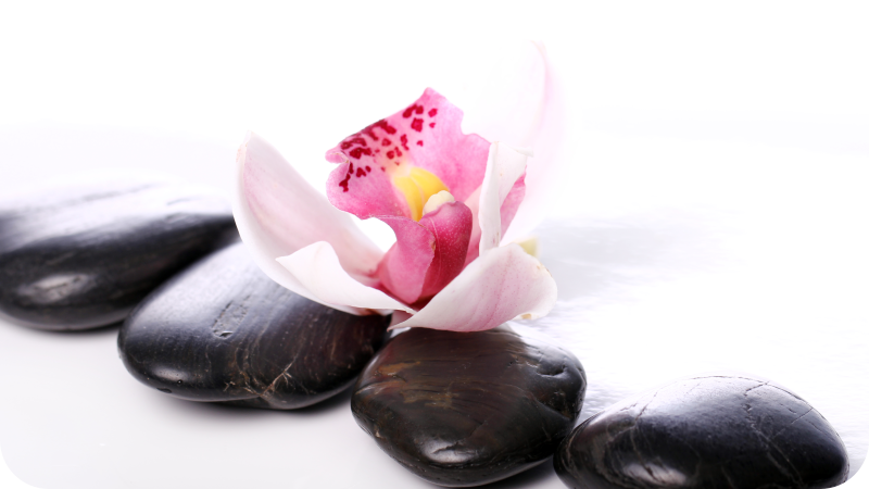 Alfombra vinílica naturaleza elegante serenidad floral - TenVinilo