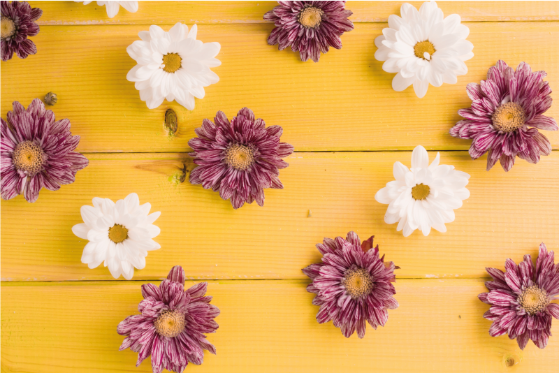 Alfombra vinílica flores pétalos rosados y blancos - TenVinilo