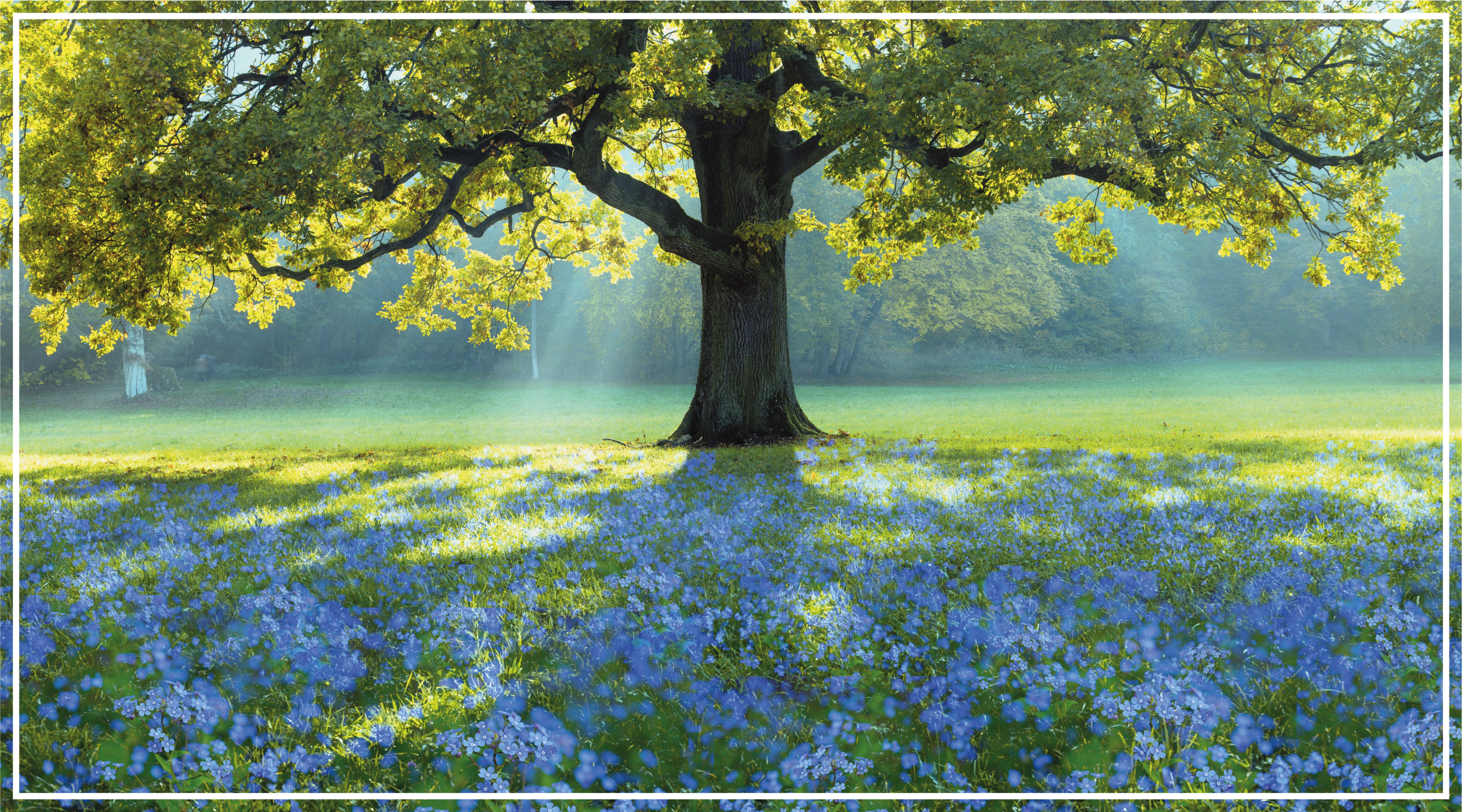 Alfombra vinilo pasillo Flores azules y un arbol - TenVinilo