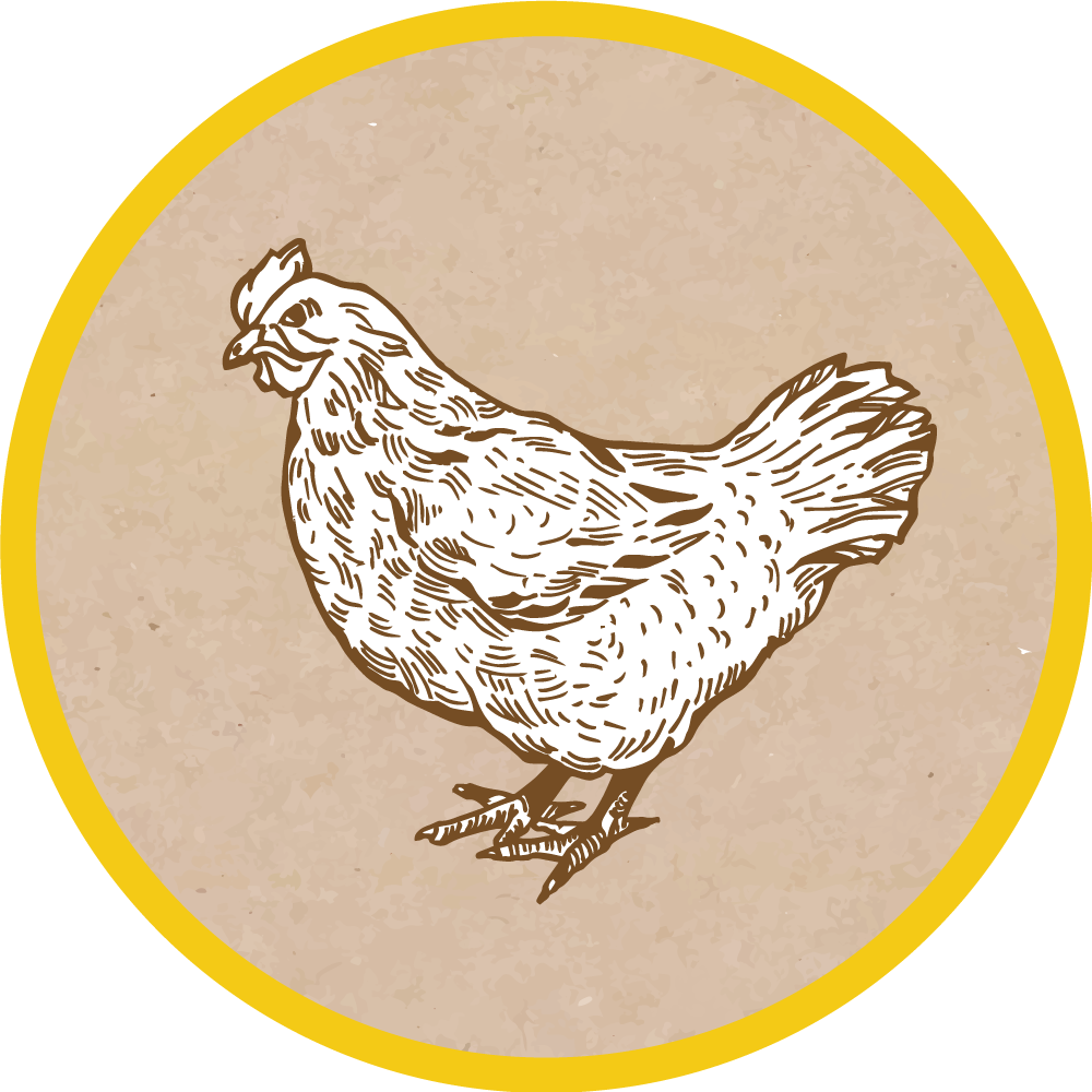 Aflombra vinílica animales ilustración de pollo - TenVinilo