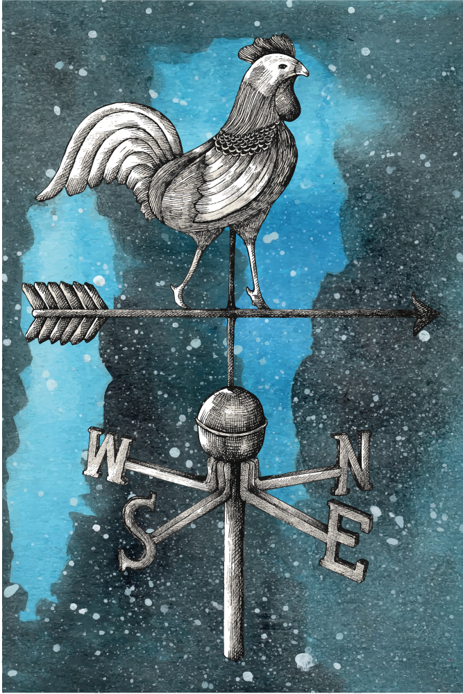 Alfombra vinílica juvenil gallo de veleta - TenVinilo