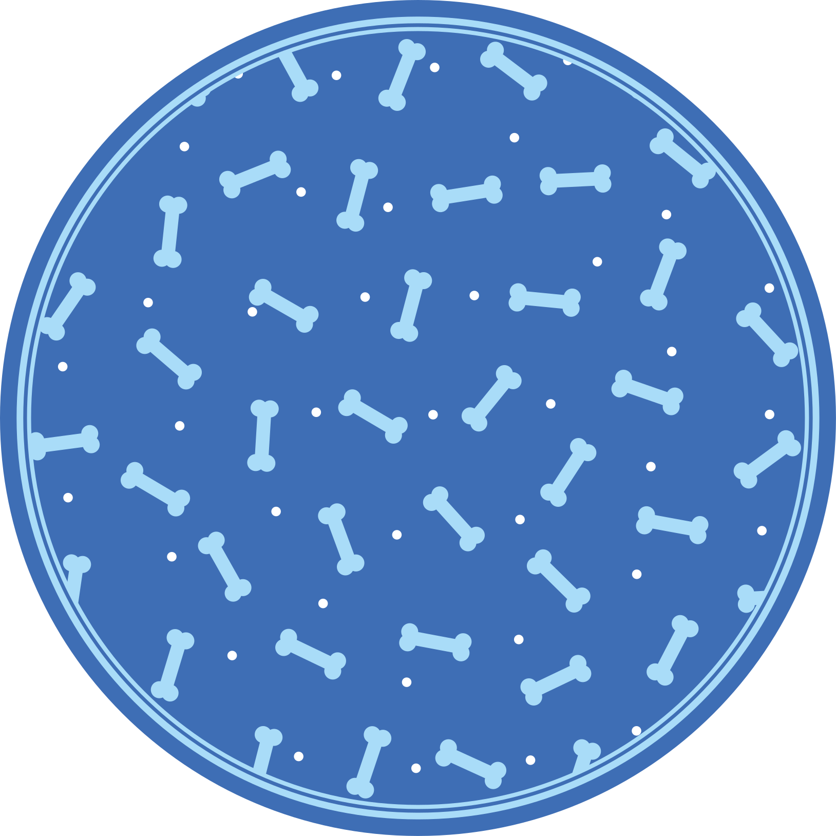 Alfombra vinílica redonda juego de patrones óseos - TenVinilo