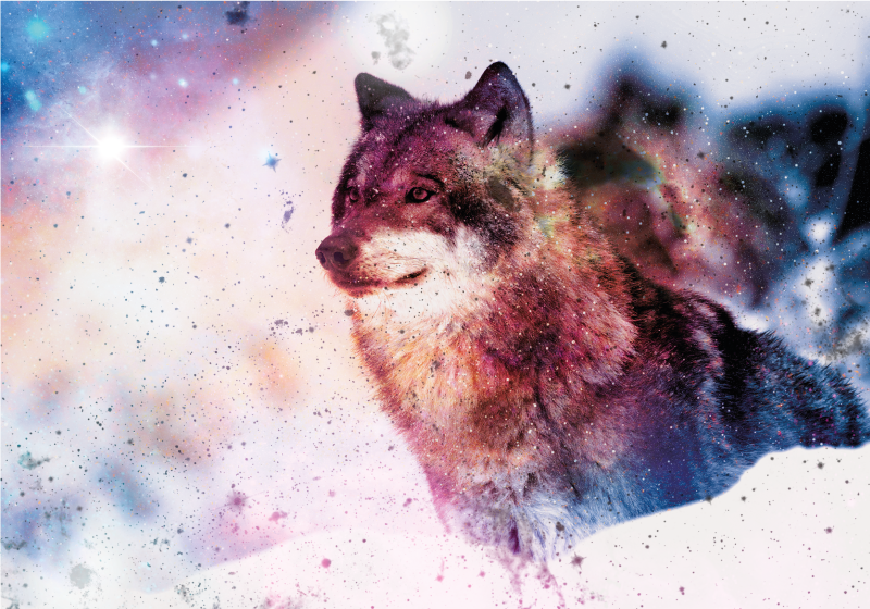 Aflombra vinílica animales imagen del lobo cósmico - TenVinilo