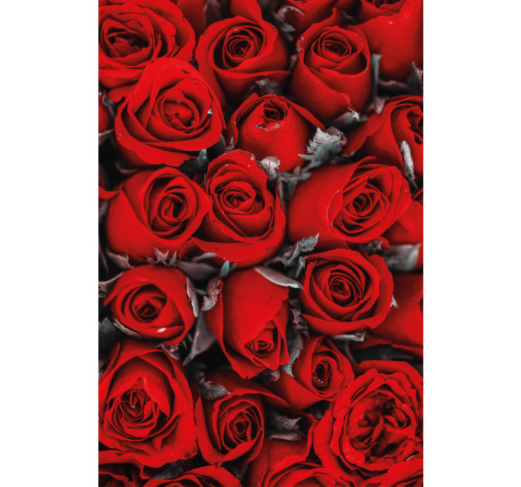 Papel tapiz flores rosas rojas románticas - TenVinilo