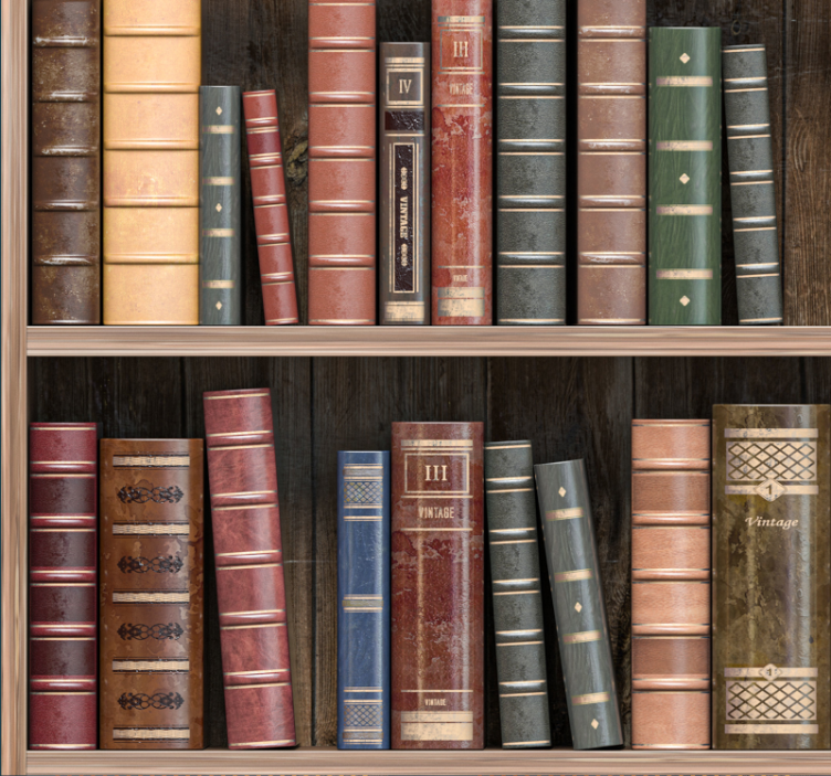 Papel pintado para oficinas libros de bibliotecaLos libros de la  - TenVinilo