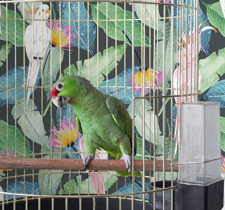 Papel pintado de pájaros pájaros tropicales y hojas - TenVinilo